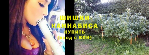 сатива Бугульма