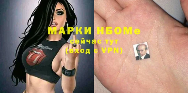 2c-b Бородино